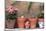 2 Kittens in Flowerpots-null-Mounted Photographic Print