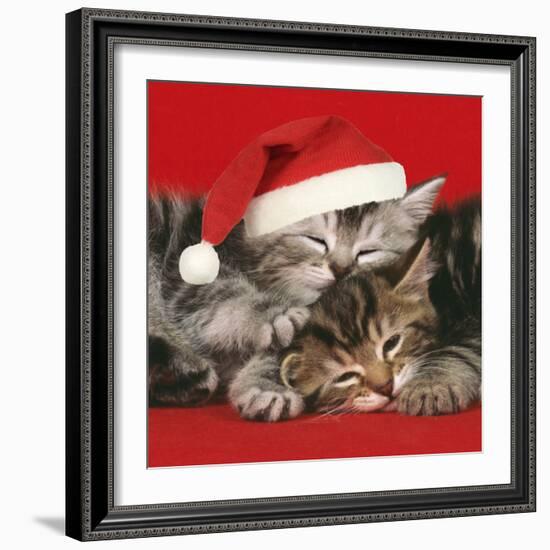 2 Kittens One Sleeping Wearing Christmas Hats-null-Framed Photographic Print