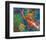 2 Koi-null-Framed Premium Giclee Print