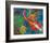 2 Koi-null-Framed Art Print