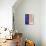 2 P6220001-Pierre Henri Matisse-Mounted Giclee Print displayed on a wall