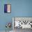 2 P6220001-Pierre Henri Matisse-Framed Premier Image Canvas displayed on a wall