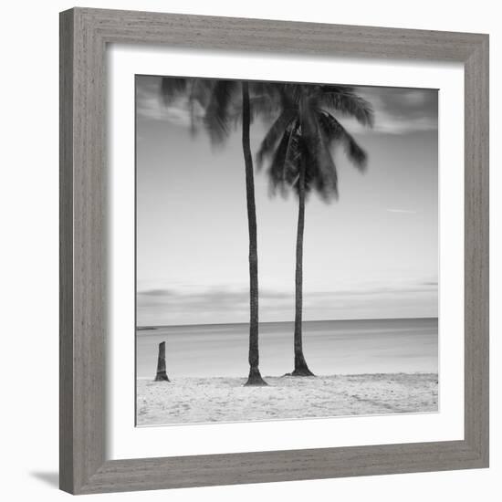 2 Palmeras-Moises Levy-Framed Photographic Print