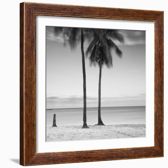 2 Palmeras-Moises Levy-Framed Photographic Print