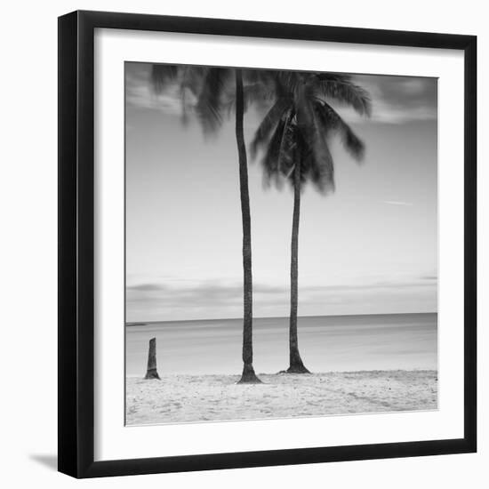 2 Palmeras-Moises Levy-Framed Photographic Print