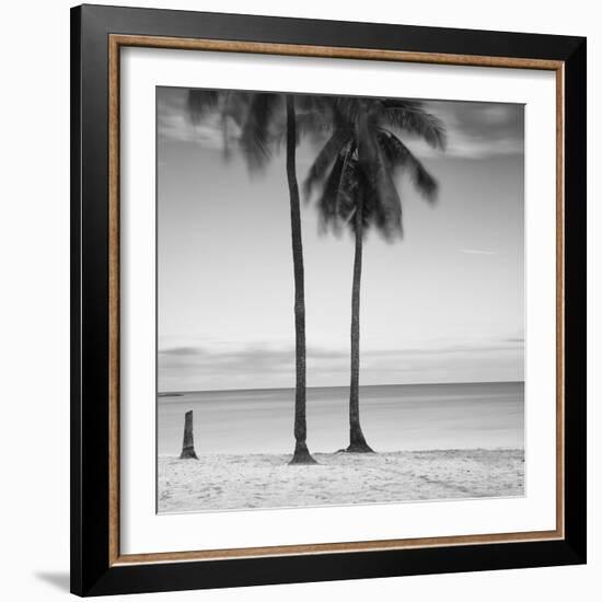 2 Palmeras-Moises Levy-Framed Photographic Print