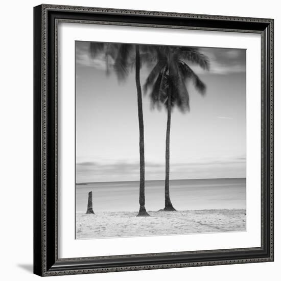 2 Palmeras-Moises Levy-Framed Photographic Print