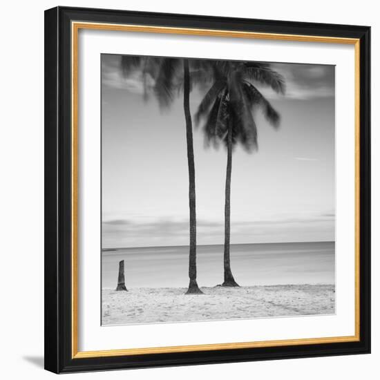 2 Palmeras-Moises Levy-Framed Photographic Print