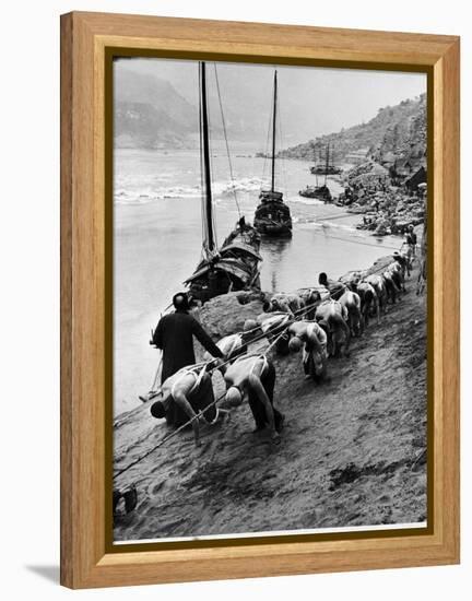 2 Rows of Chinese Trackers Plodding Along Bank of Yangtze River Towing a Junk Slowly Up River-Dmitri Kessel-Framed Premier Image Canvas