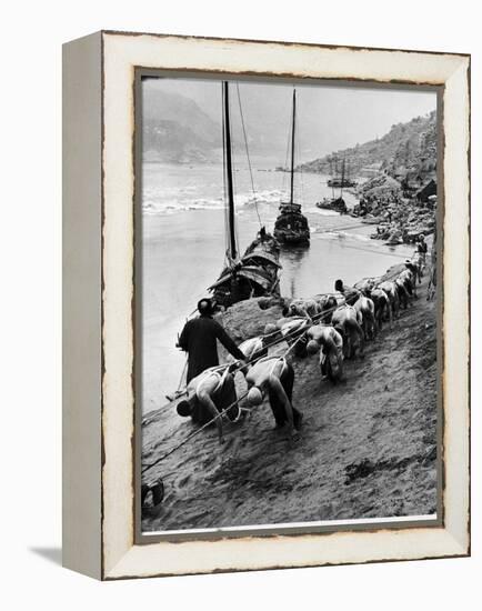 2 Rows of Chinese Trackers Plodding Along Bank of Yangtze River Towing a Junk Slowly Up River-Dmitri Kessel-Framed Premier Image Canvas