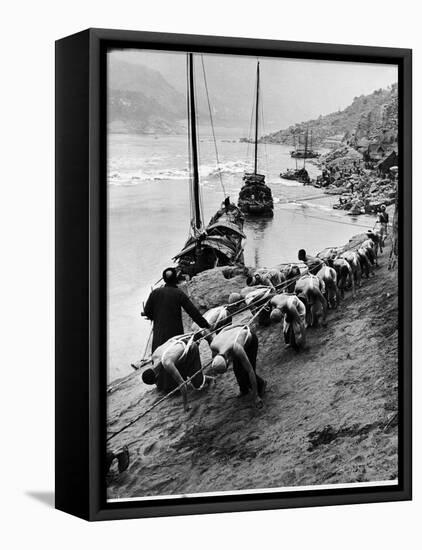 2 Rows of Chinese Trackers Plodding Along Bank of Yangtze River Towing a Junk Slowly Up River-Dmitri Kessel-Framed Premier Image Canvas