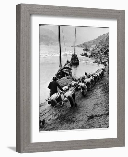 2 Rows of Chinese Trackers Plodding Along Bank of Yangtze River Towing a Junk Slowly Up River-Dmitri Kessel-Framed Photographic Print