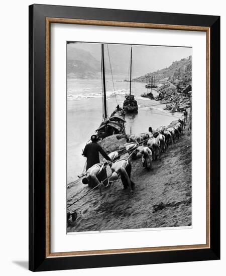 2 Rows of Chinese Trackers Plodding Along Bank of Yangtze River Towing a Junk Slowly Up River-Dmitri Kessel-Framed Photographic Print