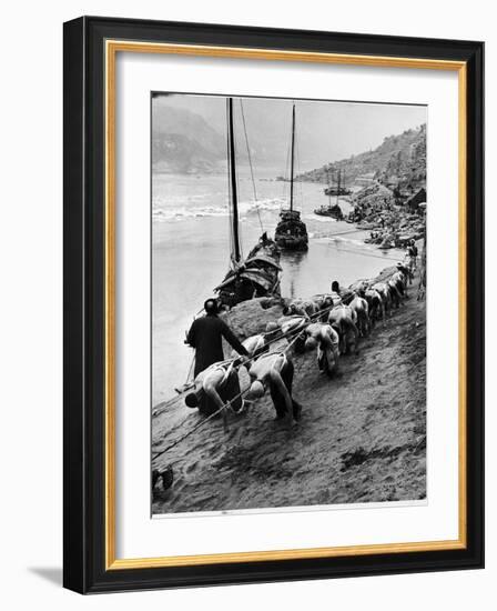 2 Rows of Chinese Trackers Plodding Along Bank of Yangtze River Towing a Junk Slowly Up River-Dmitri Kessel-Framed Photographic Print