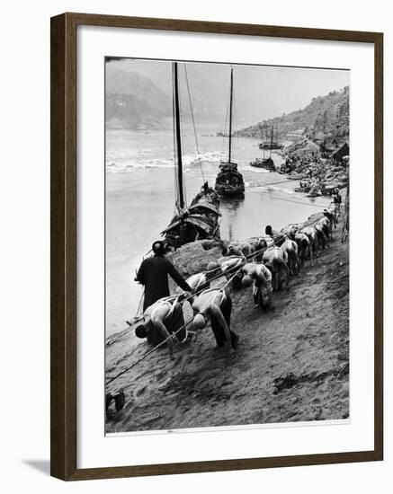 2 Rows of Chinese Trackers Plodding Along Bank of Yangtze River Towing a Junk Slowly Up River-Dmitri Kessel-Framed Photographic Print