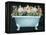 2-Up Bathtub Garden I-Grace Popp-Framed Stretched Canvas