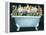 2-Up Bathtub Garden I-Grace Popp-Framed Stretched Canvas