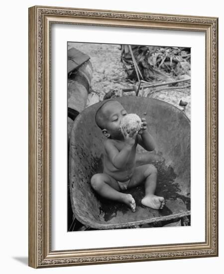 2 Year Old Drinking Coconut-null-Framed Photographic Print