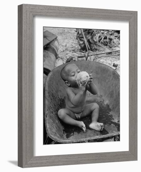 2 Year Old Drinking Coconut-null-Framed Photographic Print