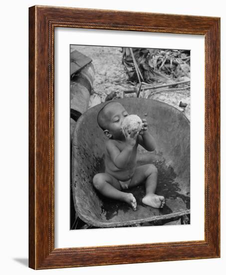 2 Year Old Drinking Coconut-null-Framed Photographic Print