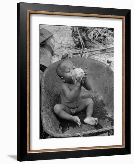 2 Year Old Drinking Coconut-null-Framed Photographic Print