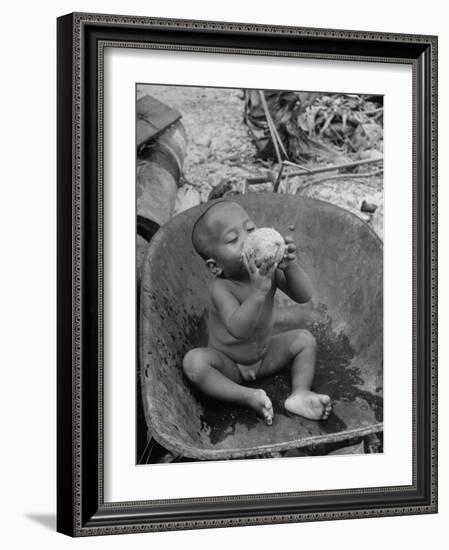 2 Year Old Drinking Coconut-null-Framed Photographic Print