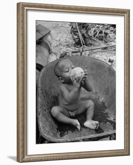 2 Year Old Drinking Coconut-null-Framed Photographic Print