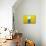 2 Yellow Beach Huts-Andy Bell-Mounted Photographic Print displayed on a wall