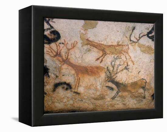 20,000 Year Old Lascaux Cave Painting Done by Cro-Magnon Man in the Dordogne Region, France-Ralph Morse-Framed Premier Image Canvas