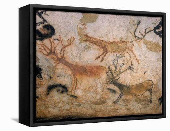 20,000 Year Old Lascaux Cave Painting Done by Cro-Magnon Man in the Dordogne Region, France-Ralph Morse-Framed Premier Image Canvas