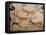 20,000 Year Old Lascaux Cave Painting Done by Cro-Magnon Man in the Dordogne Region, France-Ralph Morse-Framed Premier Image Canvas