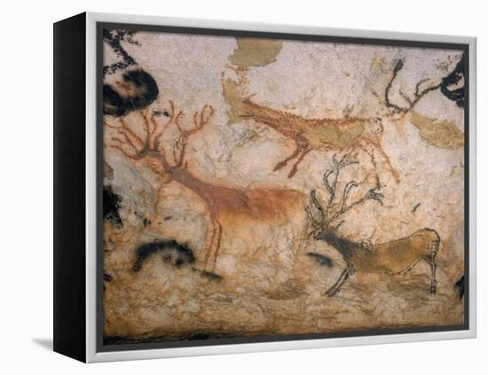20,000 Year Old Lascaux Cave Painting Done by Cro-Magnon Man in the Dordogne Region, France-Ralph Morse-Framed Premier Image Canvas