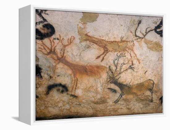 20,000 Year Old Lascaux Cave Painting Done by Cro-Magnon Man in the Dordogne Region, France-Ralph Morse-Framed Premier Image Canvas