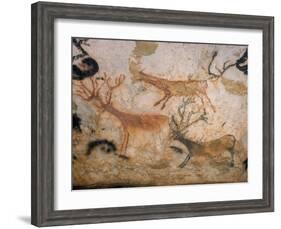20,000 Year Old Lascaux Cave Painting Done by Cro-Magnon Man in the Dordogne Region, France-Ralph Morse-Framed Photographic Print