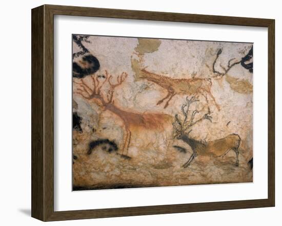 20,000 Year Old Lascaux Cave Painting Done by Cro-Magnon Man in the Dordogne Region, France-Ralph Morse-Framed Photographic Print