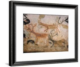 20,000 Year Old Lascaux Cave Painting Done by Cro-Magnon Man in the Dordogne Region, France-Ralph Morse-Framed Photographic Print
