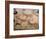 20,000 Year Old Lascaux Cave Painting Done by Cro-Magnon Man in the Dordogne Region, France-Ralph Morse-Framed Photographic Print