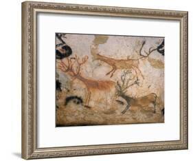 20,000 Year Old Lascaux Cave Painting Done by Cro-Magnon Man in the Dordogne Region, France-Ralph Morse-Framed Photographic Print