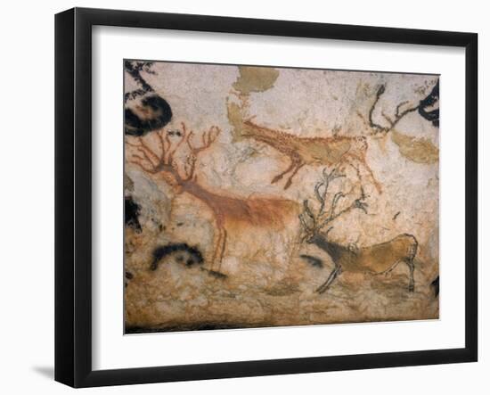 20,000 Year Old Lascaux Cave Painting Done by Cro-Magnon Man in the Dordogne Region, France-Ralph Morse-Framed Photographic Print