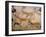 20,000 Year Old Lascaux Cave Painting Done by Cro-Magnon Man in the Dordogne Region, France-Ralph Morse-Framed Photographic Print