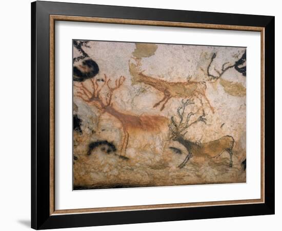 20,000 Year Old Lascaux Cave Painting Done by Cro-Magnon Man in the Dordogne Region, France-Ralph Morse-Framed Photographic Print