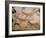 20,000 Year Old Lascaux Cave Painting Done by Cro-Magnon Man in the Dordogne Region, France-Ralph Morse-Framed Photographic Print