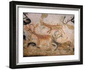 20,000 Year Old Lascaux Cave Painting Done by Cro-Magnon Man in the Dordogne Region, France-Ralph Morse-Framed Photographic Print