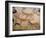 20,000 Year Old Lascaux Cave Painting Done by Cro-Magnon Man in the Dordogne Region, France-Ralph Morse-Framed Photographic Print