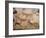 20,000 Year Old Lascaux Cave Painting Done by Cro-Magnon Man in the Dordogne Region, France-Ralph Morse-Framed Photographic Print