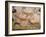 20,000 Year Old Lascaux Cave Painting Done by Cro-Magnon Man in the Dordogne Region, France-Ralph Morse-Framed Photographic Print