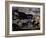 20,000 Year Old Lascaux Cave Painting Done by Cro-Magnon Man in the Dordogne Region, France-Ralph Morse-Framed Photographic Print