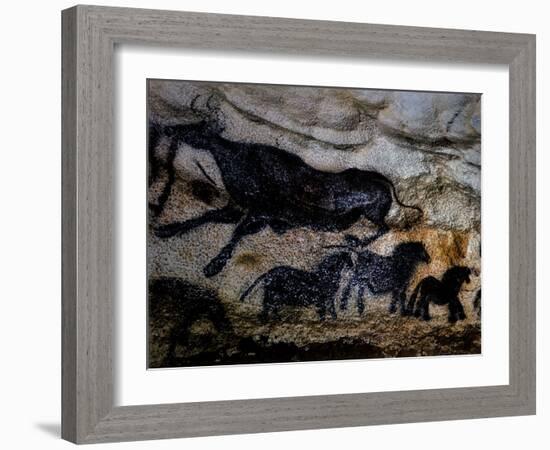 20,000 Year Old Lascaux Cave Painting Done by Cro-Magnon Man in the Dordogne Region, France-Ralph Morse-Framed Photographic Print