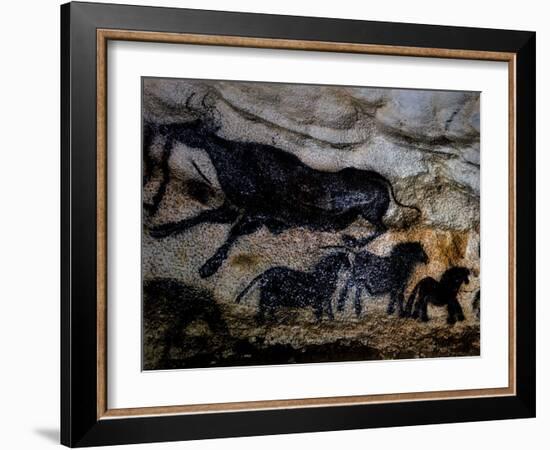 20,000 Year Old Lascaux Cave Painting Done by Cro-Magnon Man in the Dordogne Region, France-Ralph Morse-Framed Photographic Print