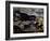 20,000 Year Old Lascaux Cave Painting Done by Cro-Magnon Man in the Dordogne Region, France-Ralph Morse-Framed Photographic Print